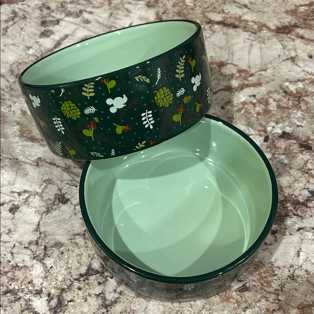 Set of Disney Dog Food/Water bowls